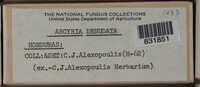 Image Associated With the Occurence